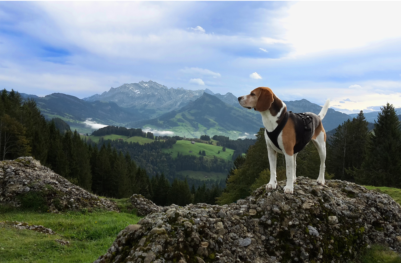 Kurs Microsoft Office 365 Microsoft Office 365 Outlook, Word, Excel, PP